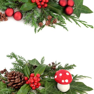 Festival kış kenarlık