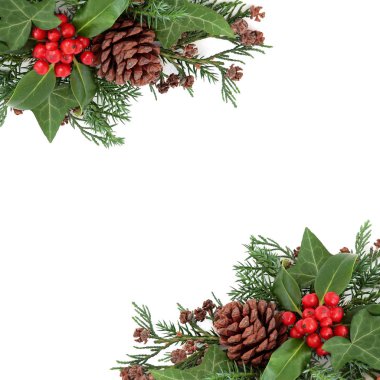 Kış Holly ve Flora kenarlık