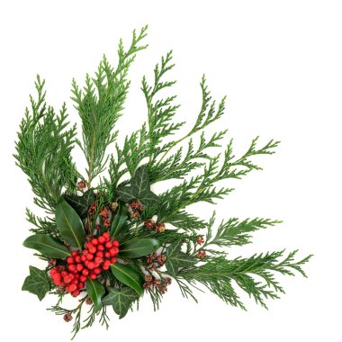 Holly ve kış yeşil