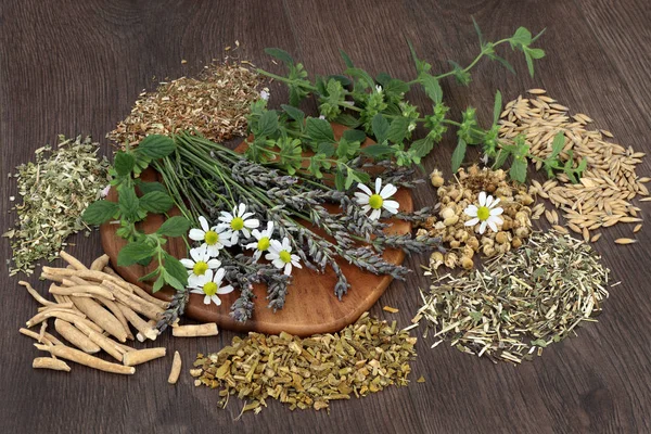 Herbes pour l'anxiété et les troubles du sommeil — Photo