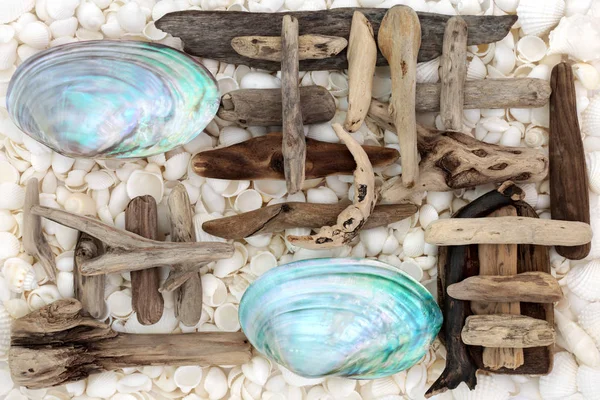 Аннотация к Seashell and Driftwood — стоковое фото