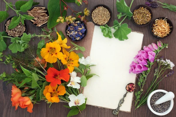 Seleção de ervas medicinais e flores — Fotografia de Stock