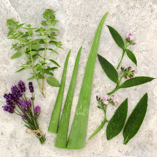 Herbes fraîches pour les soins de la peau — Photo