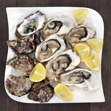 Buzlu taze istiridye.