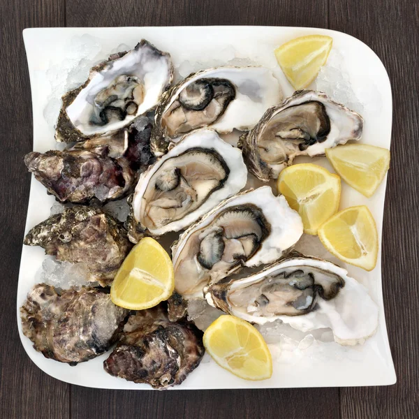 Buzlu taze istiridye.