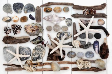 Seaside hazine kolaj