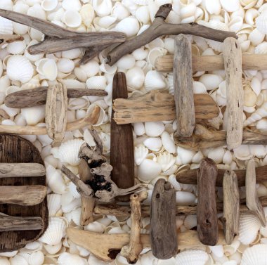 Soyut dalgaların karaya attığı odun ve Seashell arka plan