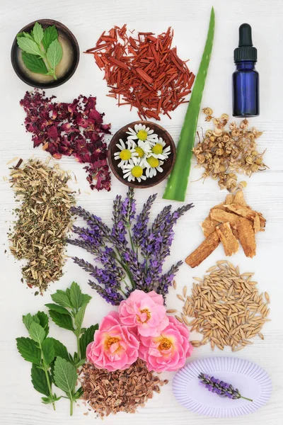 Herbal Skincare with Healing Ingredients — Stock Photo, Image