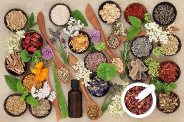 Doğal şifa Herbs ve çiçekler