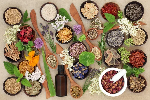 Přírodní léčivé byliny a květiny — Stock fotografie