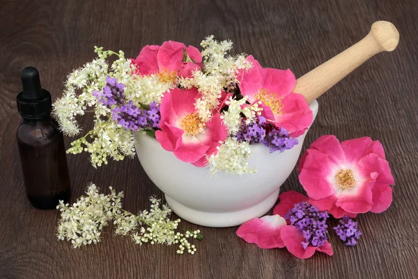Gyógyító virágok és gyógynövények — Stock Fotó