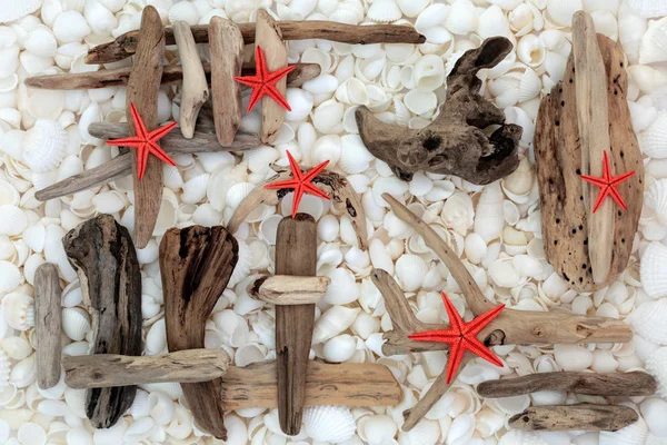 Starfish Driftwood e Seashells — Fotografia de Stock