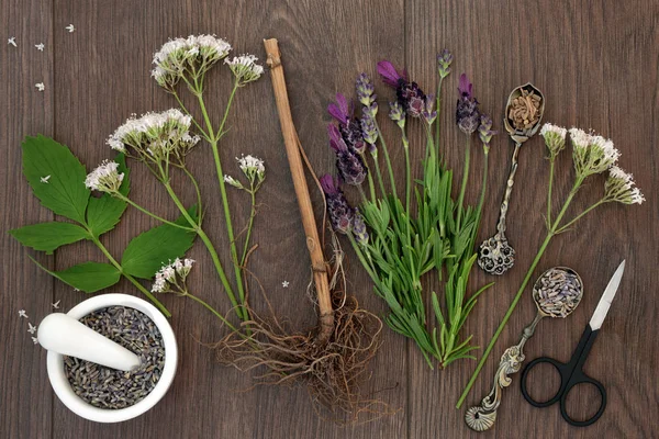 Lavendel en valerian kruid bloemen — Stockfoto