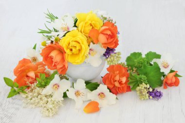 Flowers for Natural Herbal Medicine clipart
