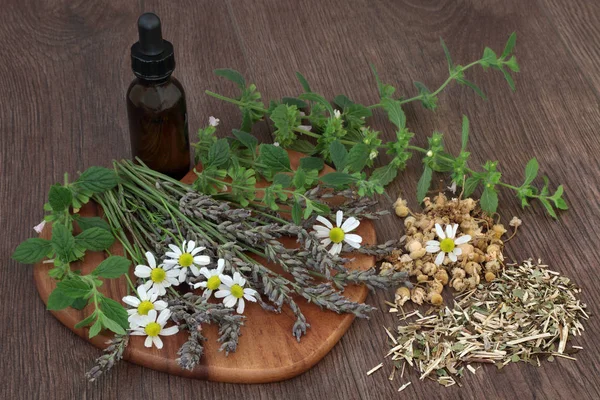 Calming Herb Selection — Stock Photo, Image