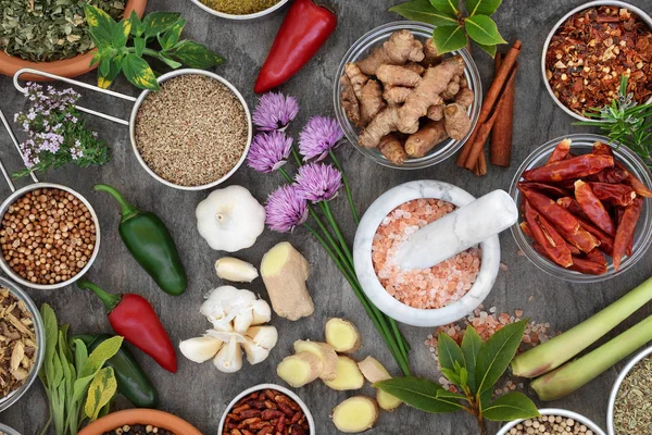 Frische und getrocknete Kräuter- und Gewürzkollektion — Stockfoto