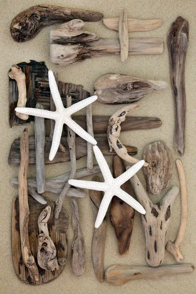 Starfish e Driftwood Abstract — Fotografia de Stock