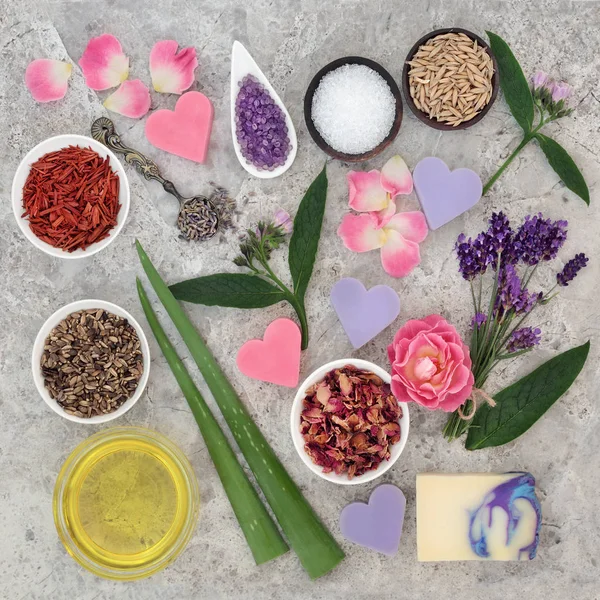 Ingredientes naturais para cuidados de saúde da pele — Fotografia de Stock