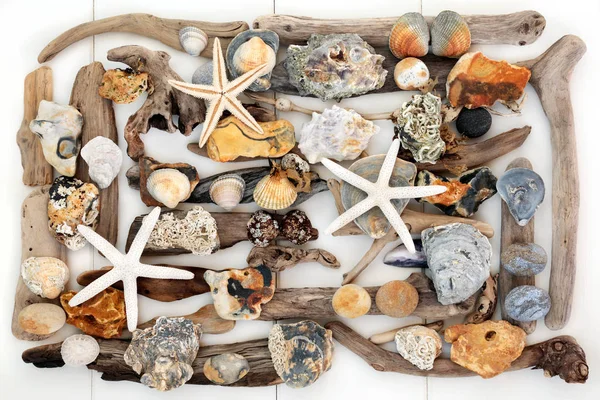 Природні об'єкти від пляжу — стокове фото