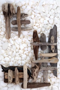 Doğal dalgaların karaya attığı odun soyut