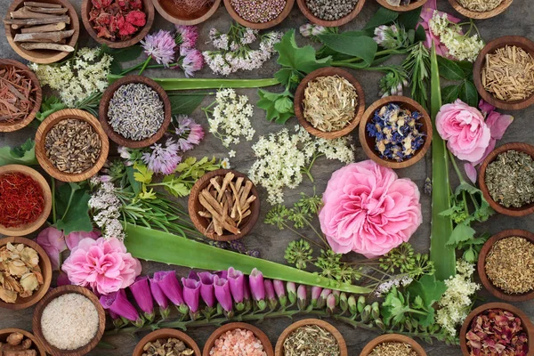 Natuurlijke alternatieve geneeskunde — Stockfoto