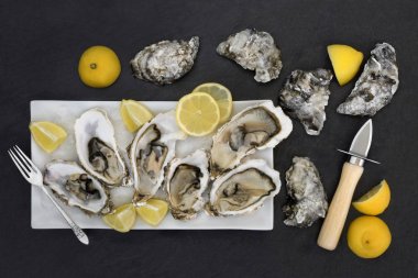 Taze istiridye afrodizyak yemek