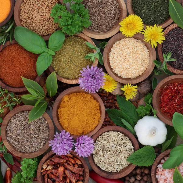 Herb and Spice Seasoning — Stock Photo, Image