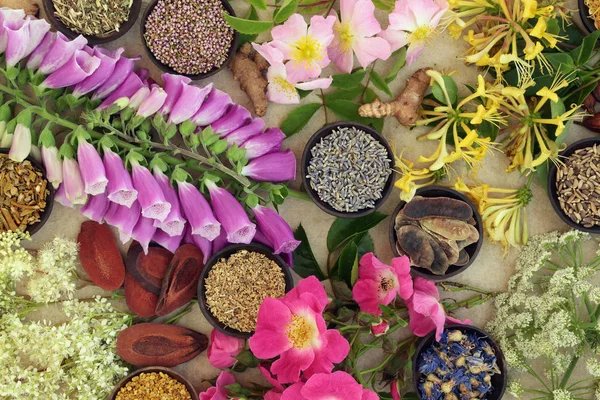 Seleção de flores e ervas medicinais — Fotografia de Stock