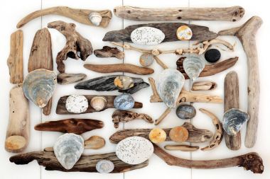 Doğal Driftwood, deniz kıyısı ve Rock soyut
