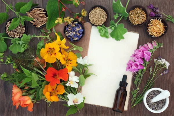 Naturopathic Flowers and Herbs — Stock Photo, Image