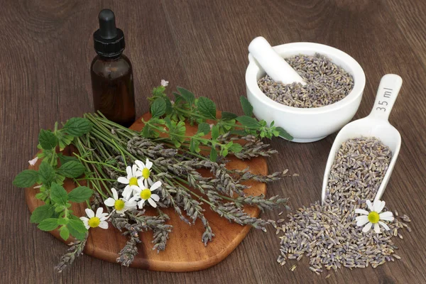 Natural Herbal Medicine — Stock Photo, Image