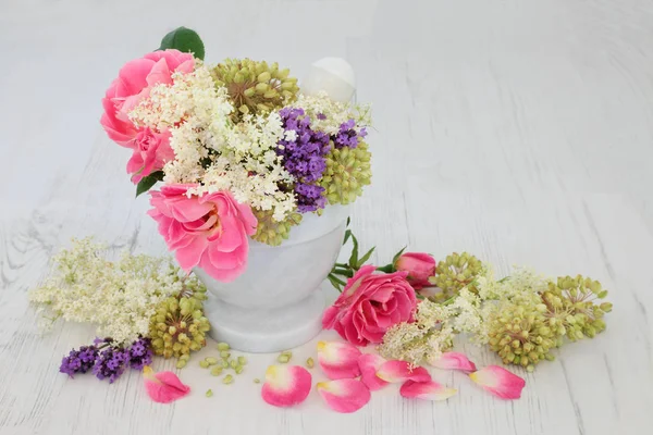 Blumen und Kräuter natürliche Medizin — Stockfoto