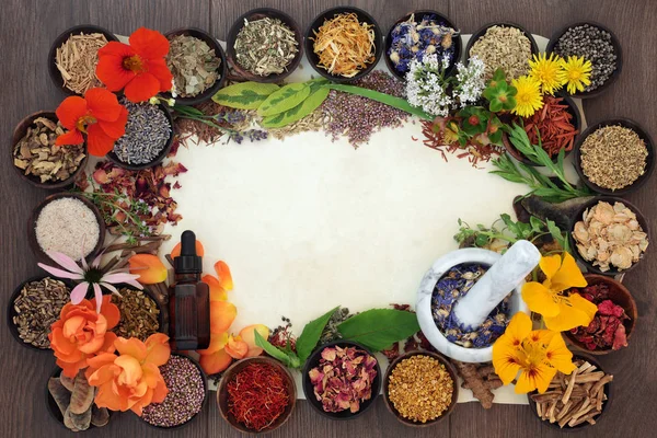 Flowers and Herbs for Herbal Medicine — Stock Photo, Image