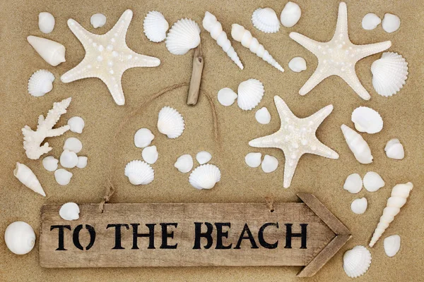 Holiday Time at the Beach — Stock Photo, Image