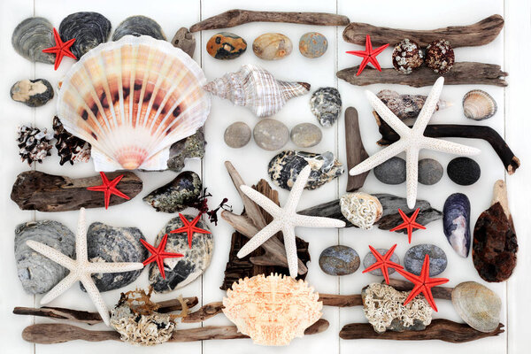 Натуральный дрейф, сиашеллы и роки
 