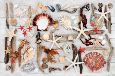 Plaj sanat soyut kolaj