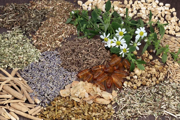 Helande örter för sömnstörningar — Stockfoto