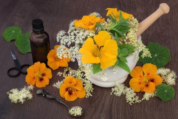 自然の花とハーブの薬 — ストック写真