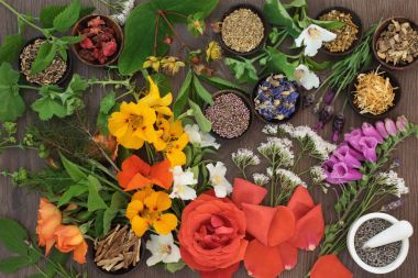 Çiçekler ve bitkiler bitkisel ilaç için