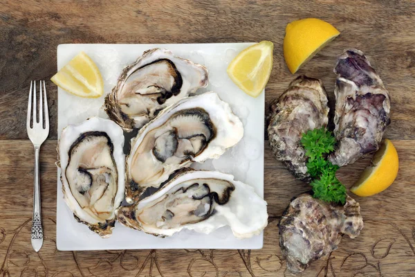 Oyster Shellfish cu lămâie — Fotografie, imagine de stoc