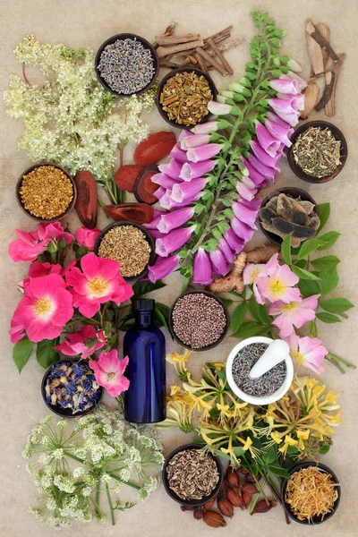 Natuurlijke kruid en Flower collectie — Stockfoto
