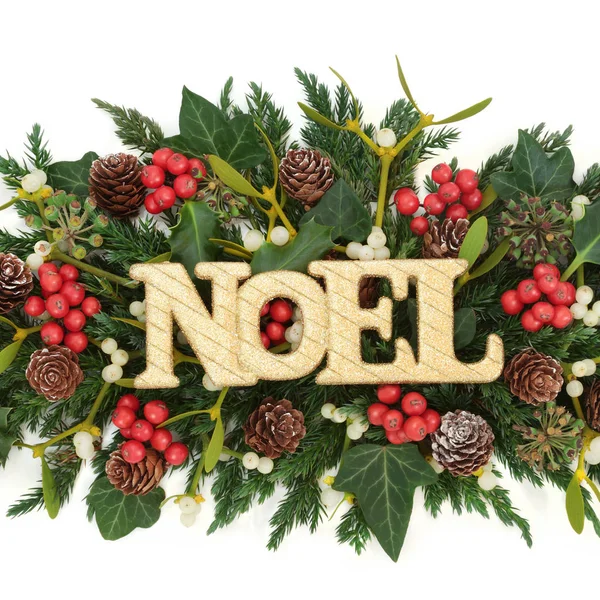 Festlig Noel dekoration — Stockfoto