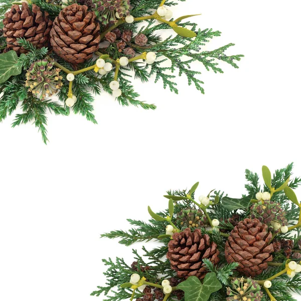 Winter Greenery Arrangement — Stock Photo, Image