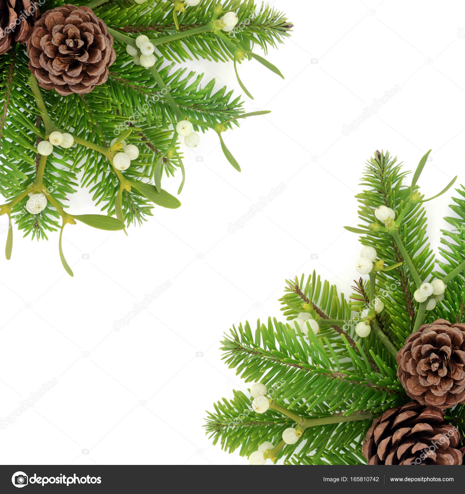 Winter Greenery Border Stock Illustration by ©marilyna #32152229