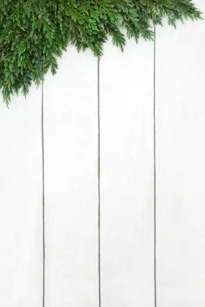Juniper liści obwódkę — Zdjęcie stockowe