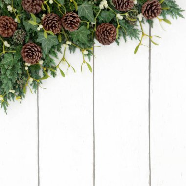 Köknar ökseotu ve çam koni kenarlık