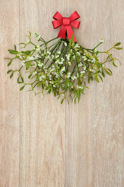 Under the Mistletoe — Stock Photo, Image