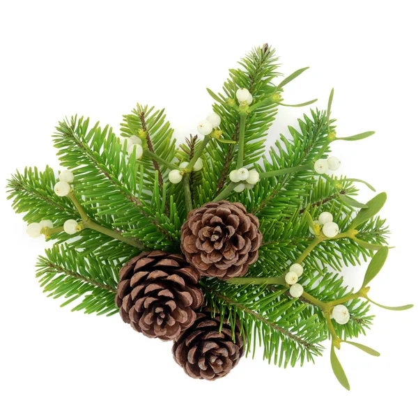 Pine Cones Fir and Mistletoe — Stock Photo, Image
