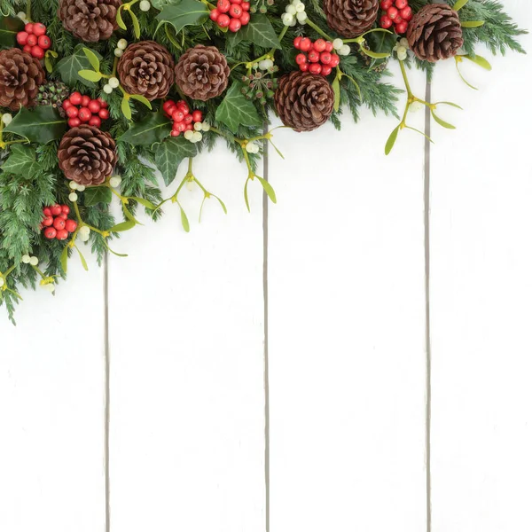 Noel ve kış yeşil