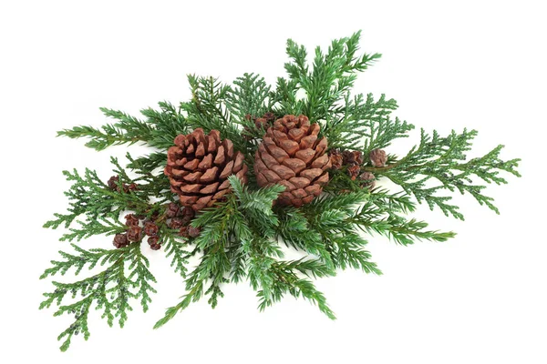 Winter Greenery Decoration — Stock Photo, Image